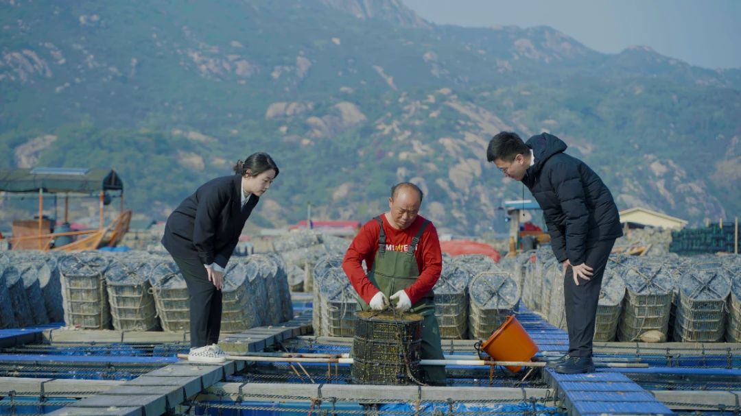 宁德众彩网：“引资入海”，，，，，为蓝色经济注入生长新引擎